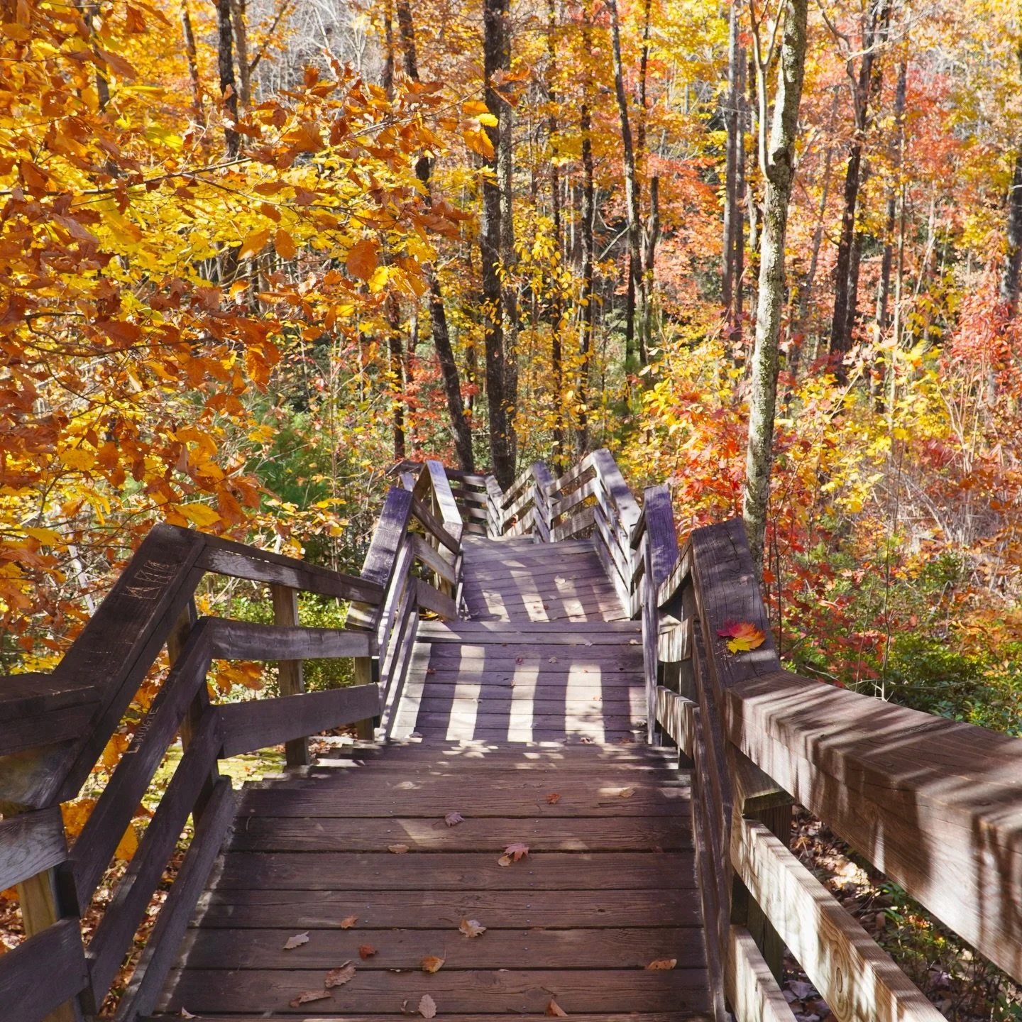 Tackling our biggest project yet: the staircase at Stone Mountain State Park. 

The N.C. Parks and Recreation Trust Fund has awarded 1.1$ million  to replace this 647‑linear‑foot staircase that climbs beside Stone Mountain Falls. 

Originally built i