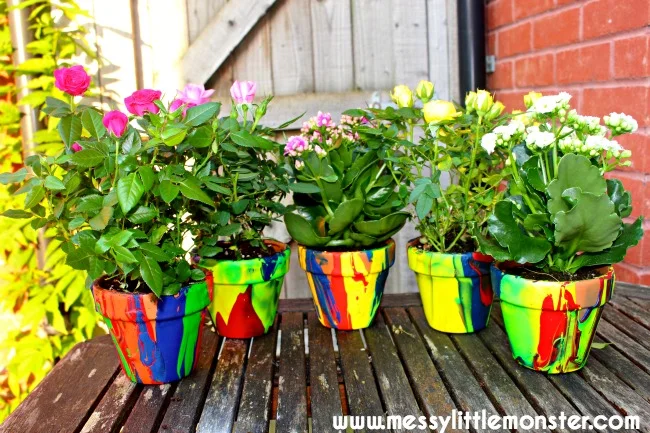 plant pots craft.jpg