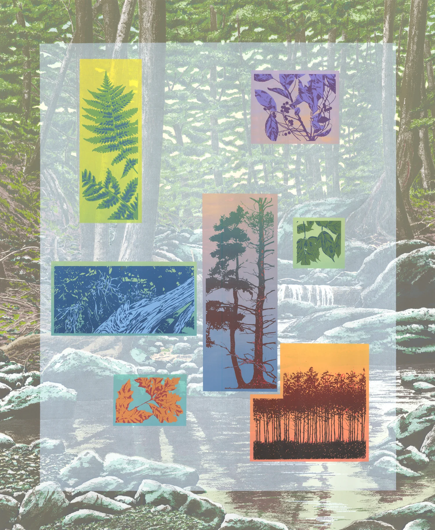 236 Forest Faces-6.3 20" x 24" 34 colors 10 edition / 4 available $875