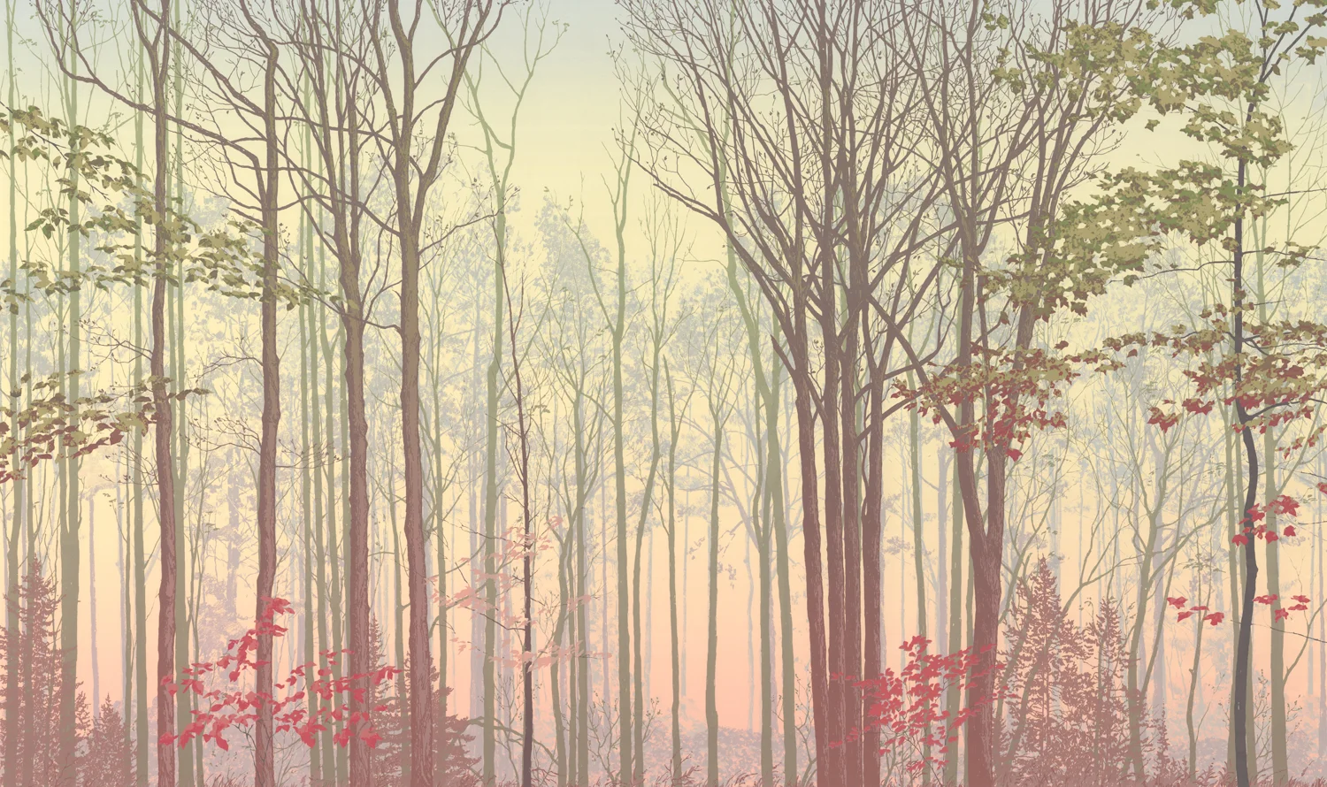 228 Forest Faces 5.2 24" x 40" – 610 x 1016mm 25 colors 3 edition / 2 available $1,200