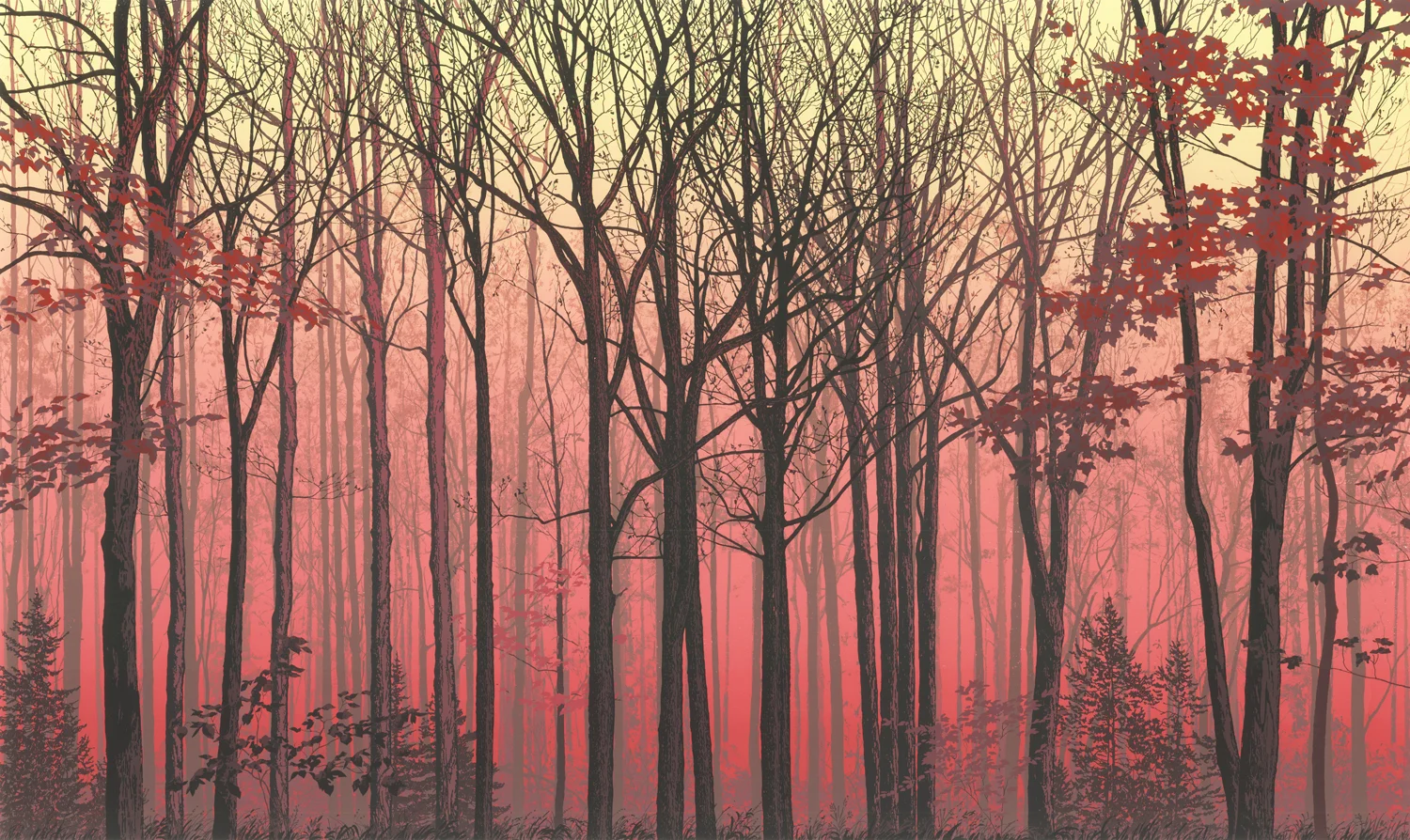 226Forest Faces 424" x 40" – 610 x 1016mm25 colors10 edition /&nbsp;5 available$1,200 