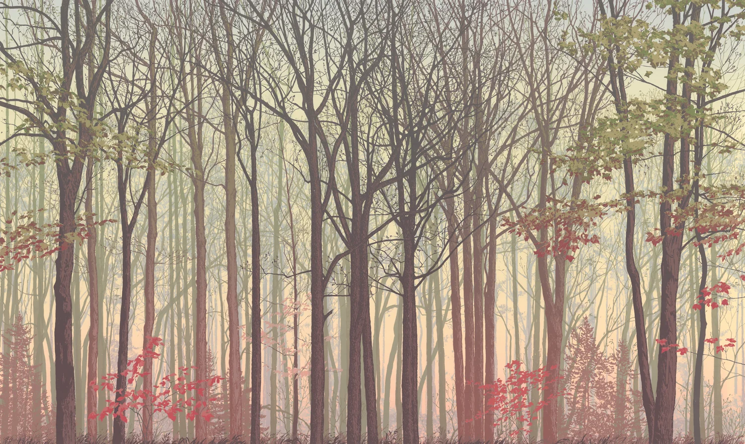 225Forest Faces 3.224" x 40" – 610 x 1016mm25 colors9 edition /&nbsp;5 available$1,200 