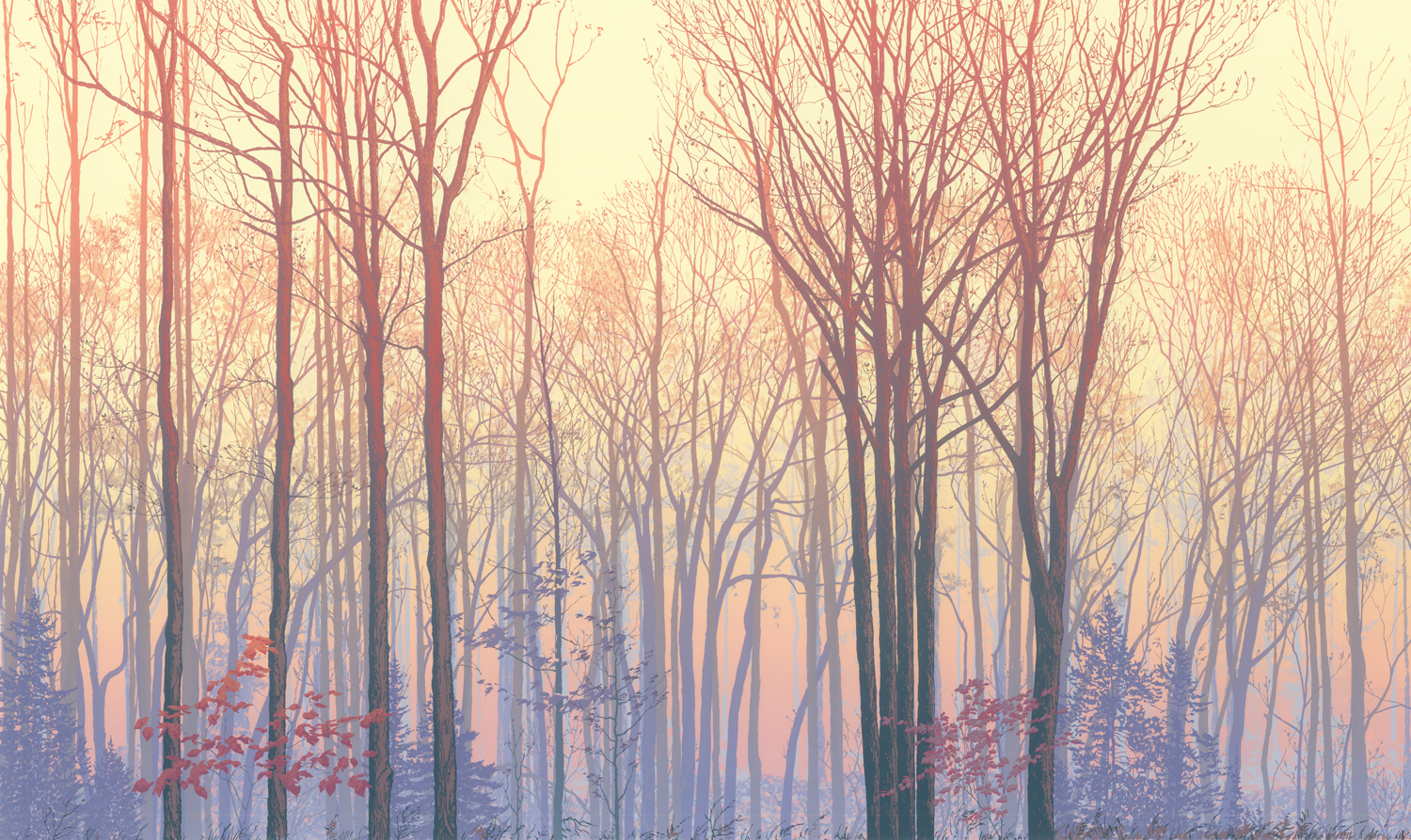 224Forest Faces 324" x 40" – 610 x 1016mm25 colors6 edition /&nbsp;3 available $1,200 