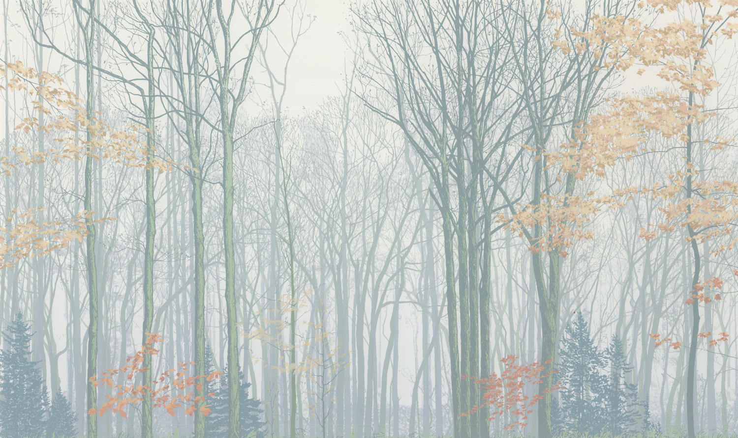 221 Forest Faces 1 24" x 40" – 610 x 1016mm 25 colors 8 edition / 5 available $1,200
