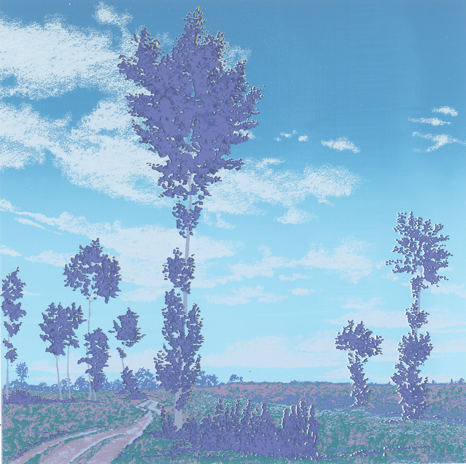 219Clouds - 29" x 9"14 colors25 edition /&nbsp;15 available$250 