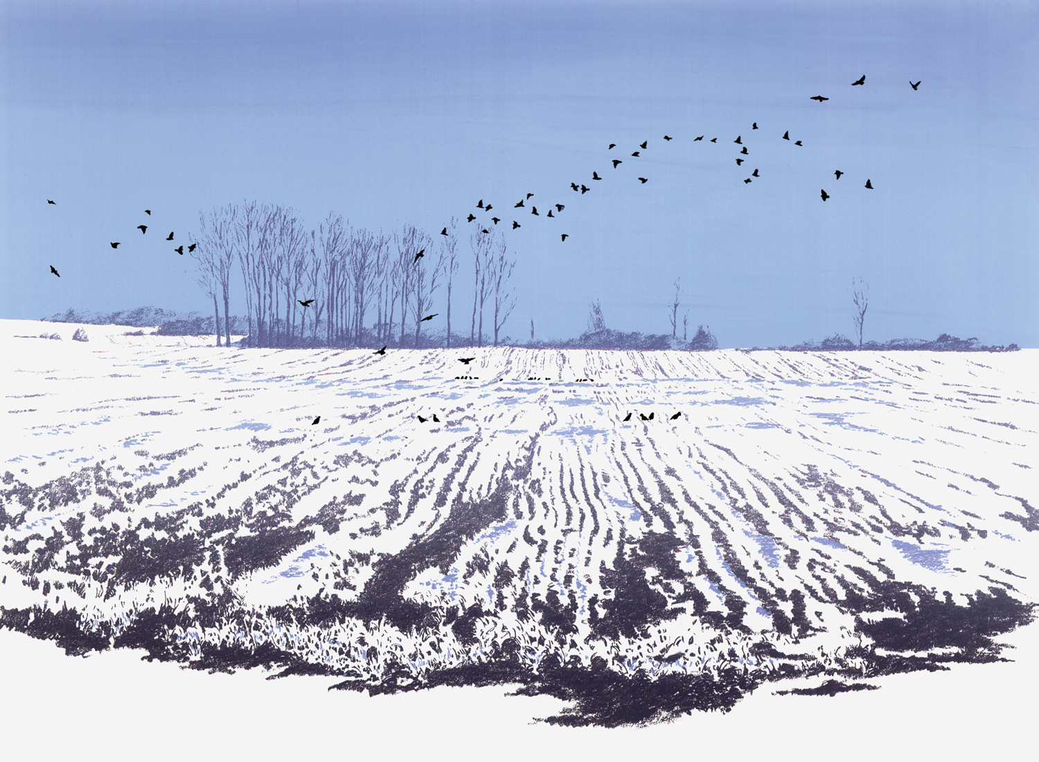198Crows17.5" x 24" – 445 x 610mm5 colors10 edition /&nbsp;5 available$450 