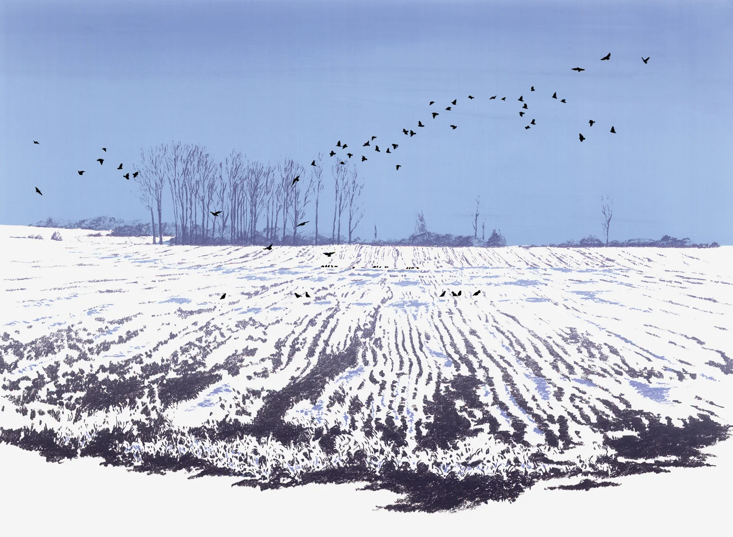 198 Crows 17.5" x 24" – 445 x 610mm 5 colors 10 edition / 5 available $450