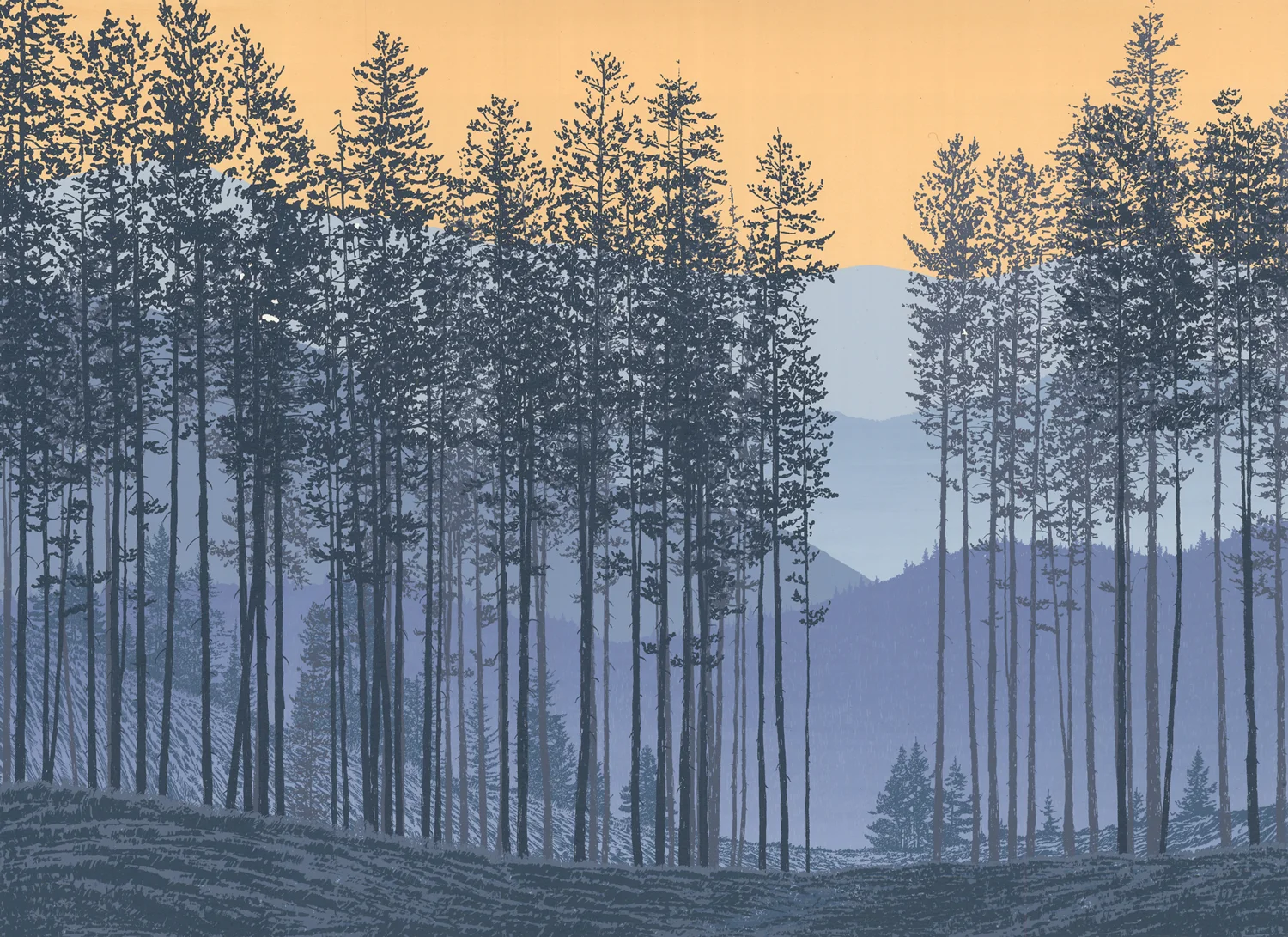 185.4Lodepole Pines - state 517.5" x 24" – 445 x 610mm12 colors10 edition /&nbsp;4 available $450
