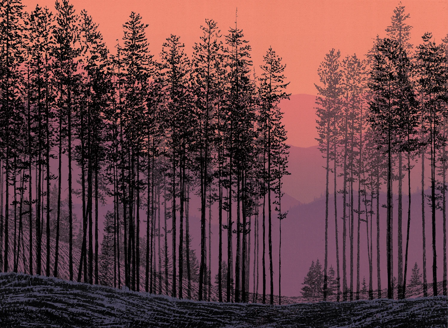 185.3Lodgepole Pines - state 217.5" x 24" – 445 x 610mm12 colors8 edition /&nbsp;3 available$450 