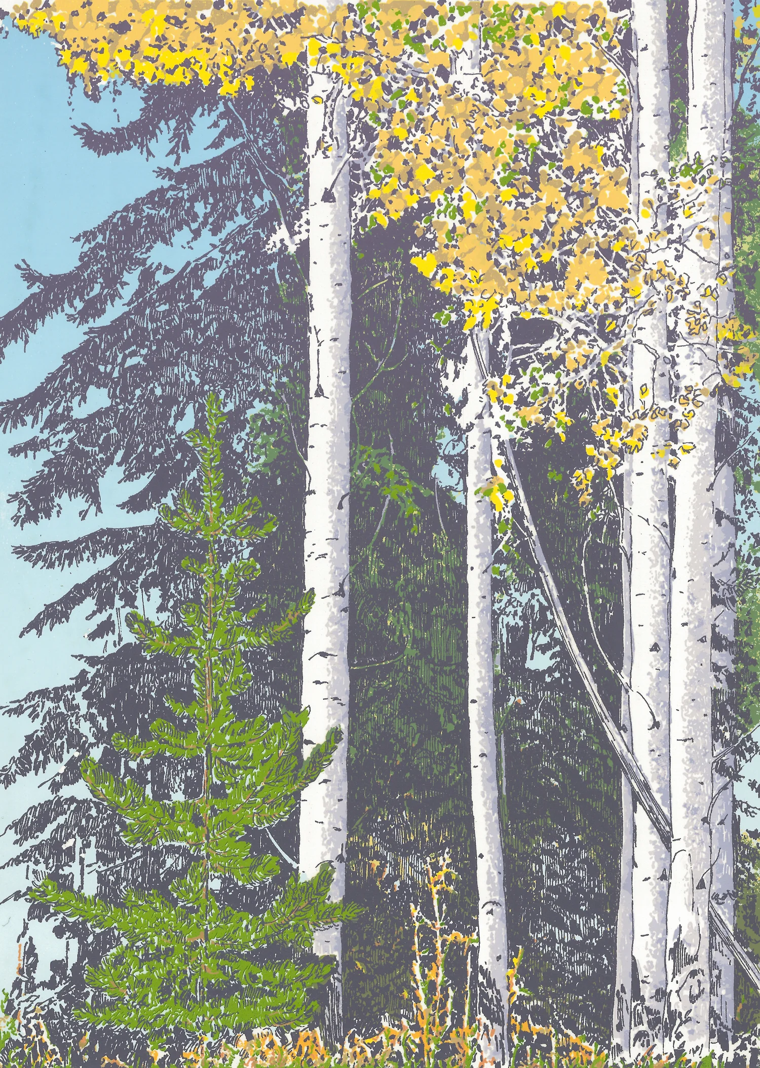 183Fall Beeches 112" x 9" – 356 x 254mm14 colors40 edition /&nbsp;18 available$325 each 