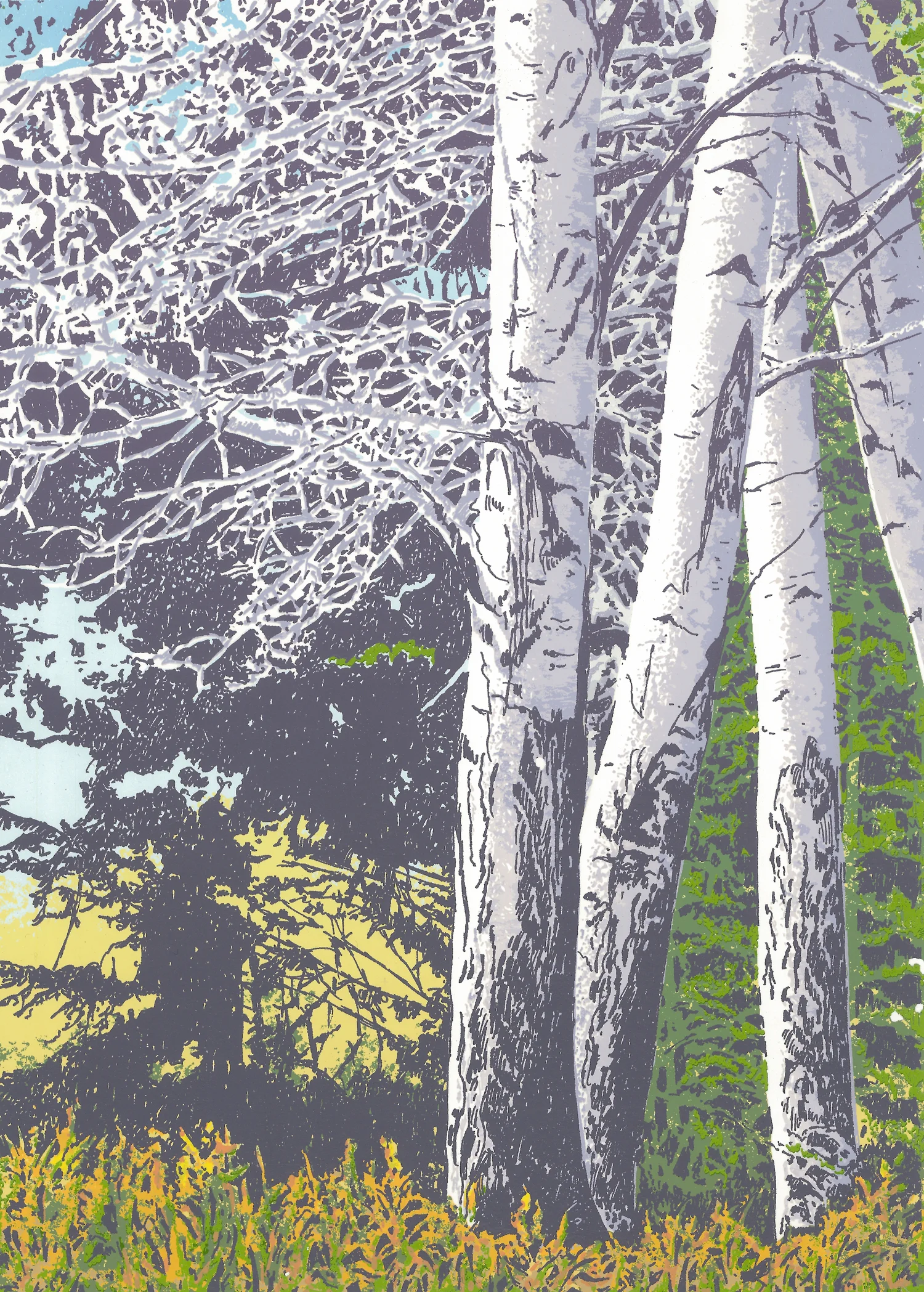 182Fall Beeches 212 x 9" – 356 x 254mm14 colors40 edition /&nbsp;18 available$325 each 