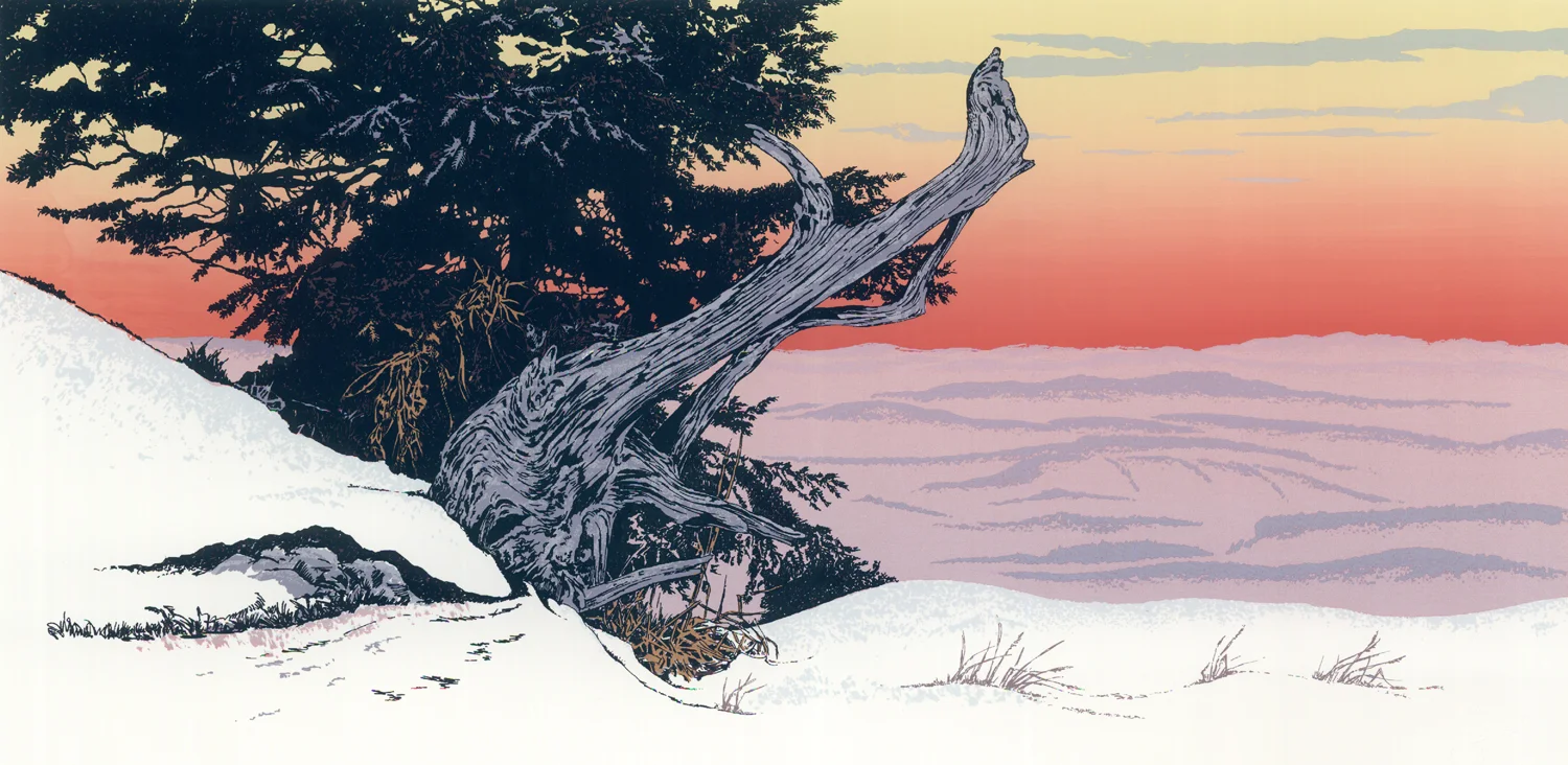 172Evening Light14" x 26" – 460 x 660mm20 colors20 edition /&nbsp;10 available$425