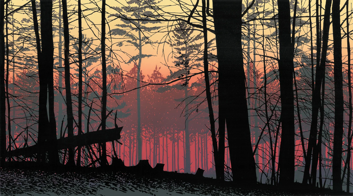 169 Forest Edge 12" x 21.5" – 305 x 546mm 10 colors 30 edition / 10 available $375