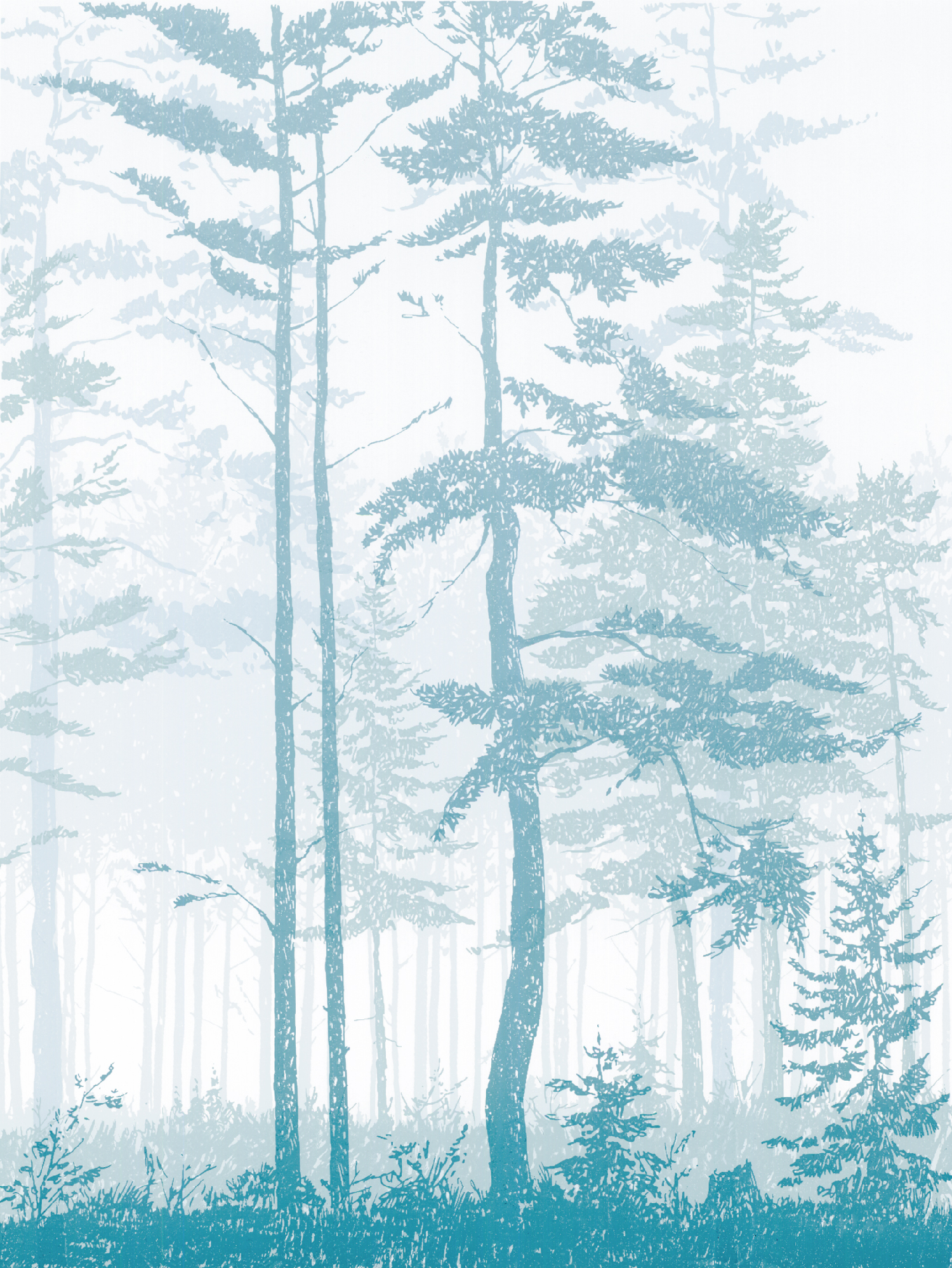 167Mist 212" x 9" – 356 x 254mm10 colors40 edition /&nbsp;8 available$325 each 