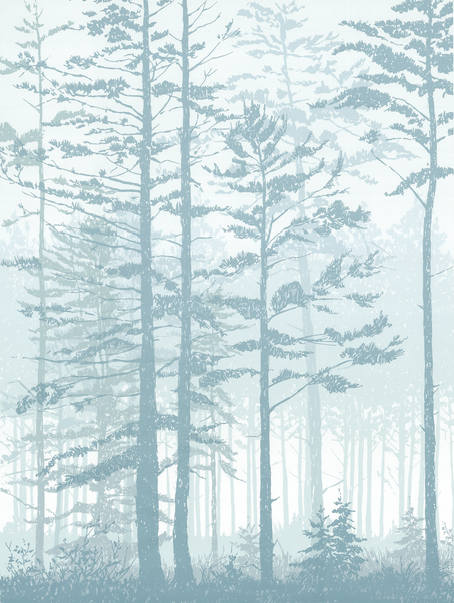 166Mist 112" x 9" – 356 x 254mm10 colors40 edition /&nbsp;8 available$325 each 