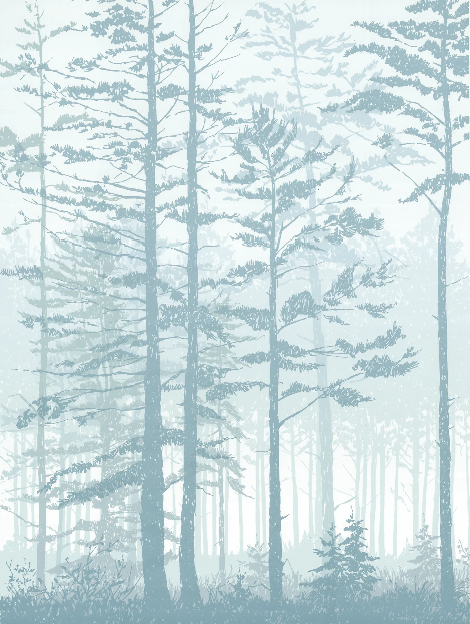 166 Mist 1 12" x 9" – 356 x 254mm 10 colors 40 edition / 8 available $325 each