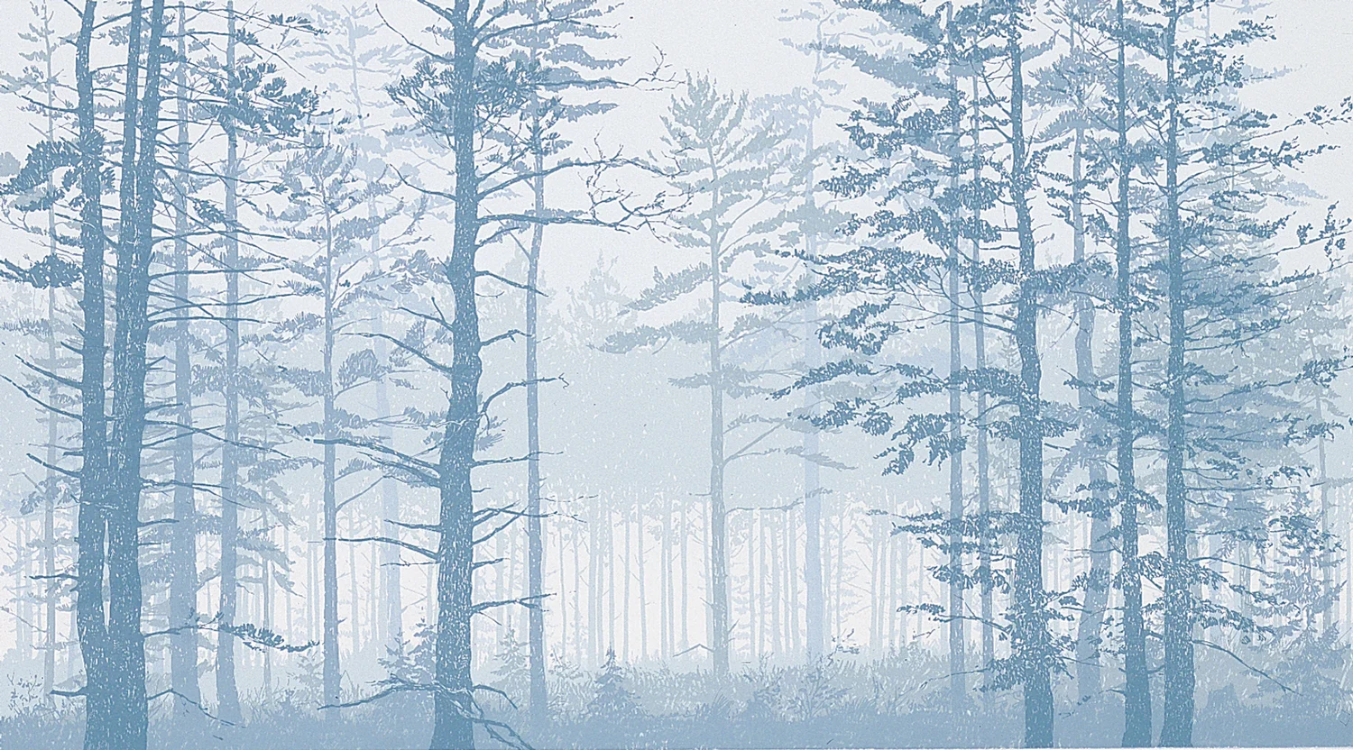 166 Mist 1 12" x 21.5" – 305 x 546mm 10 colors 30 edition / 10 available $375