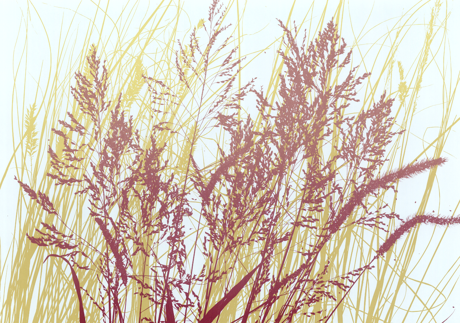 160Helens Grass17.5" x 20-24" – 445 x 610mm8 colors30 edition /&nbsp;7 available$450 