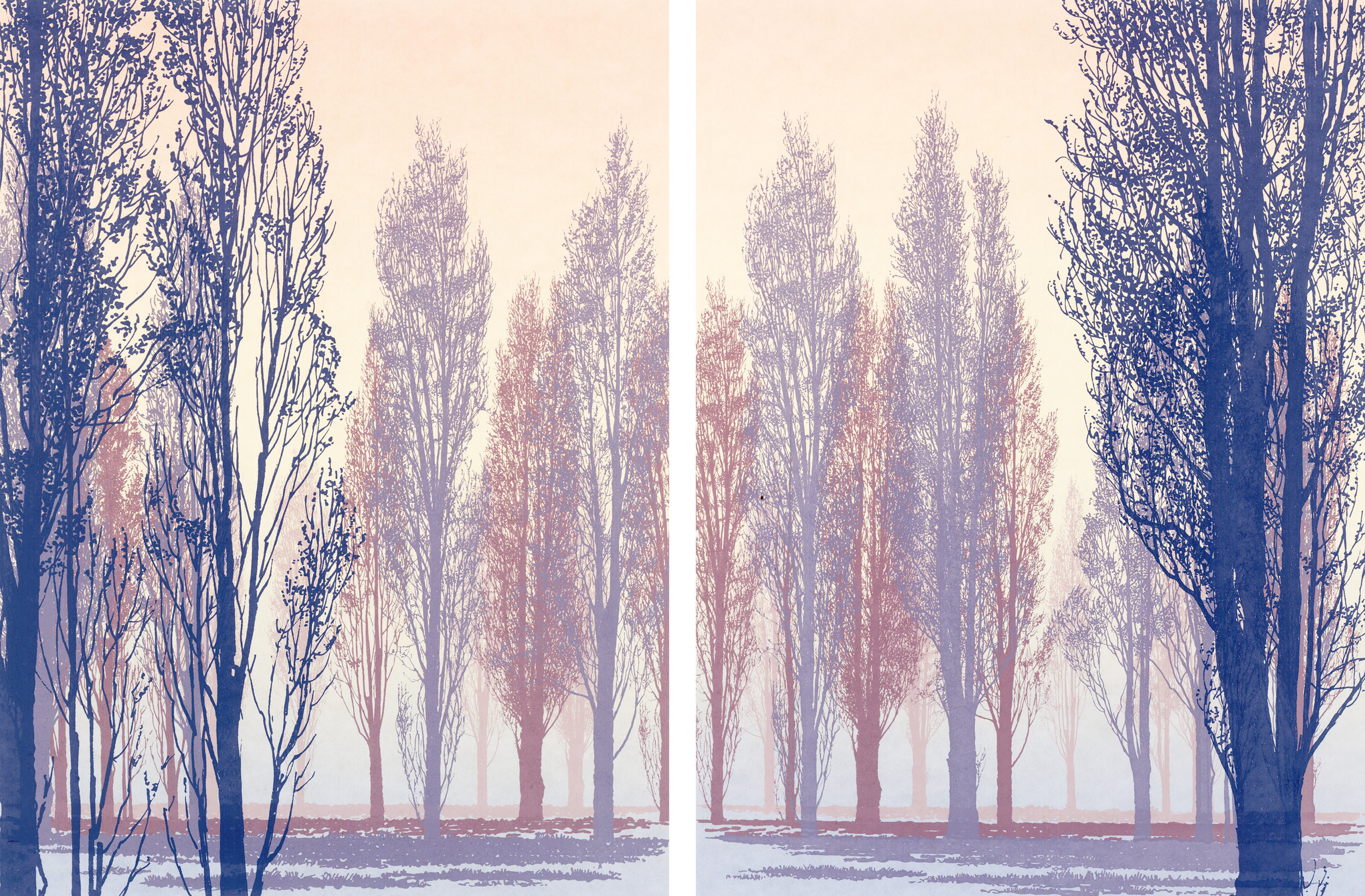 Poplars 1 and 2