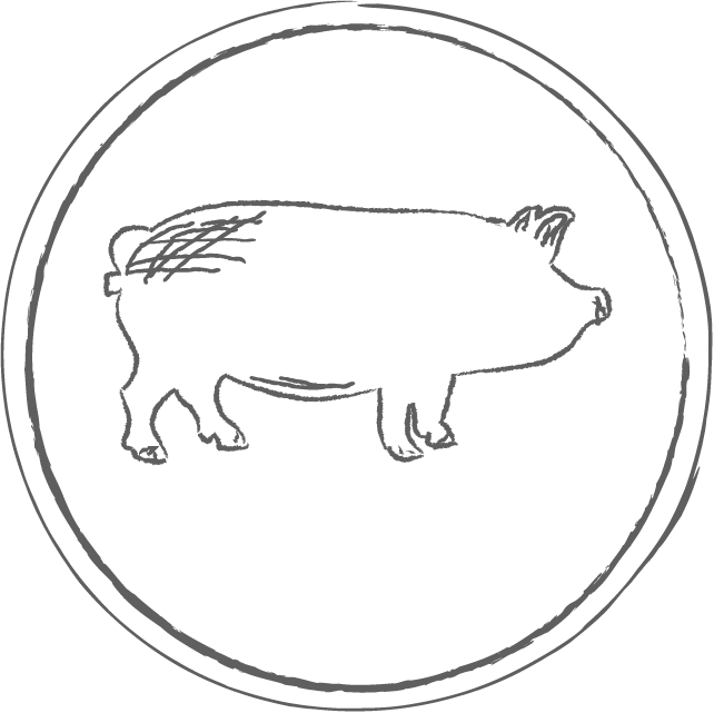 Pig_1.png