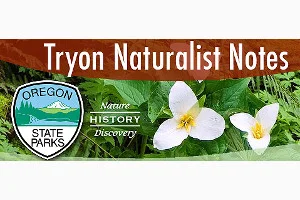 tryon-creek-naturalist-notes.jpg
