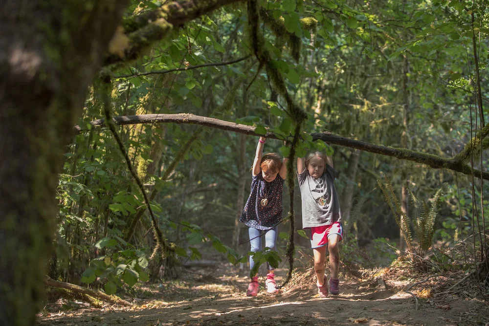 nature-day-camp-friendship-tryon-creek.jpg