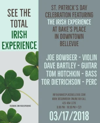 The Irish Experience.jpg