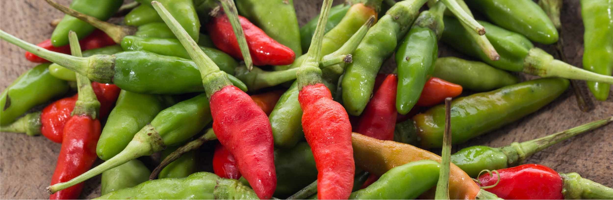 Hot chilli peppers cropped.jpg