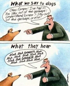 woof41-243x300.jpg