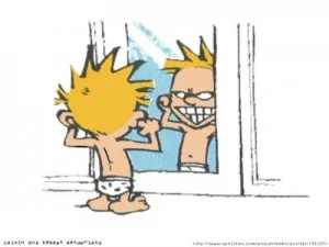 calvinhobbes-mirrorsmall-300x225.jpg
