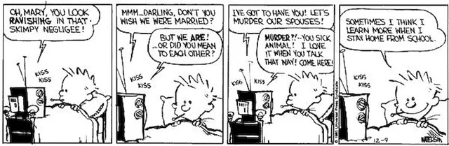 Calvin and Hobbes