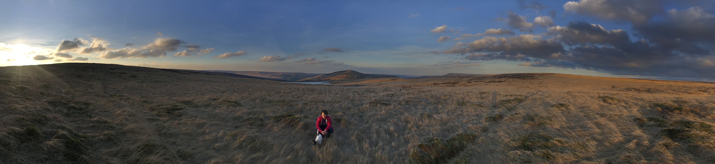 Strolling on the moors... Thursday's cheerful post.