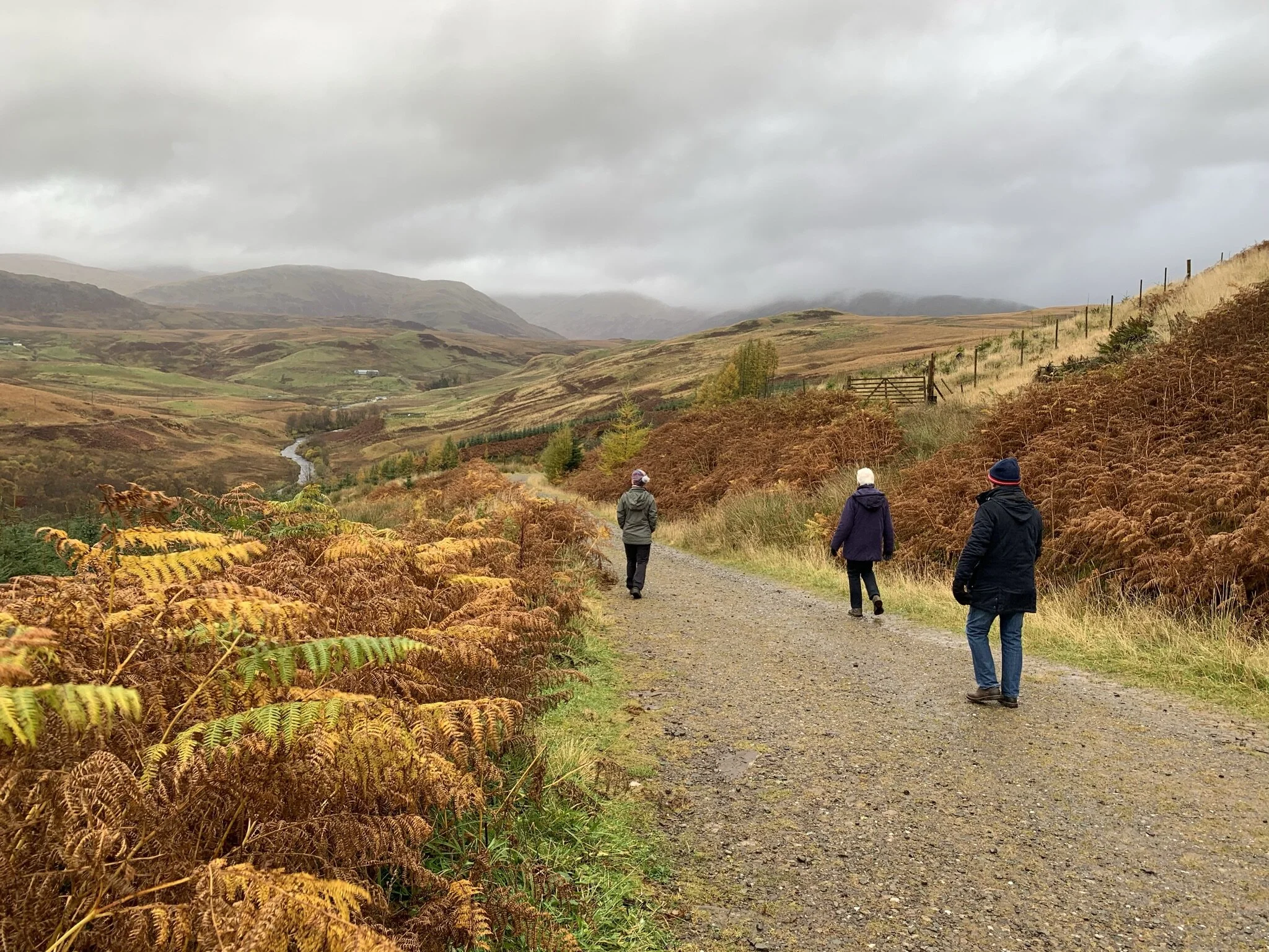 in the early hours... thinking about the recruitment market.