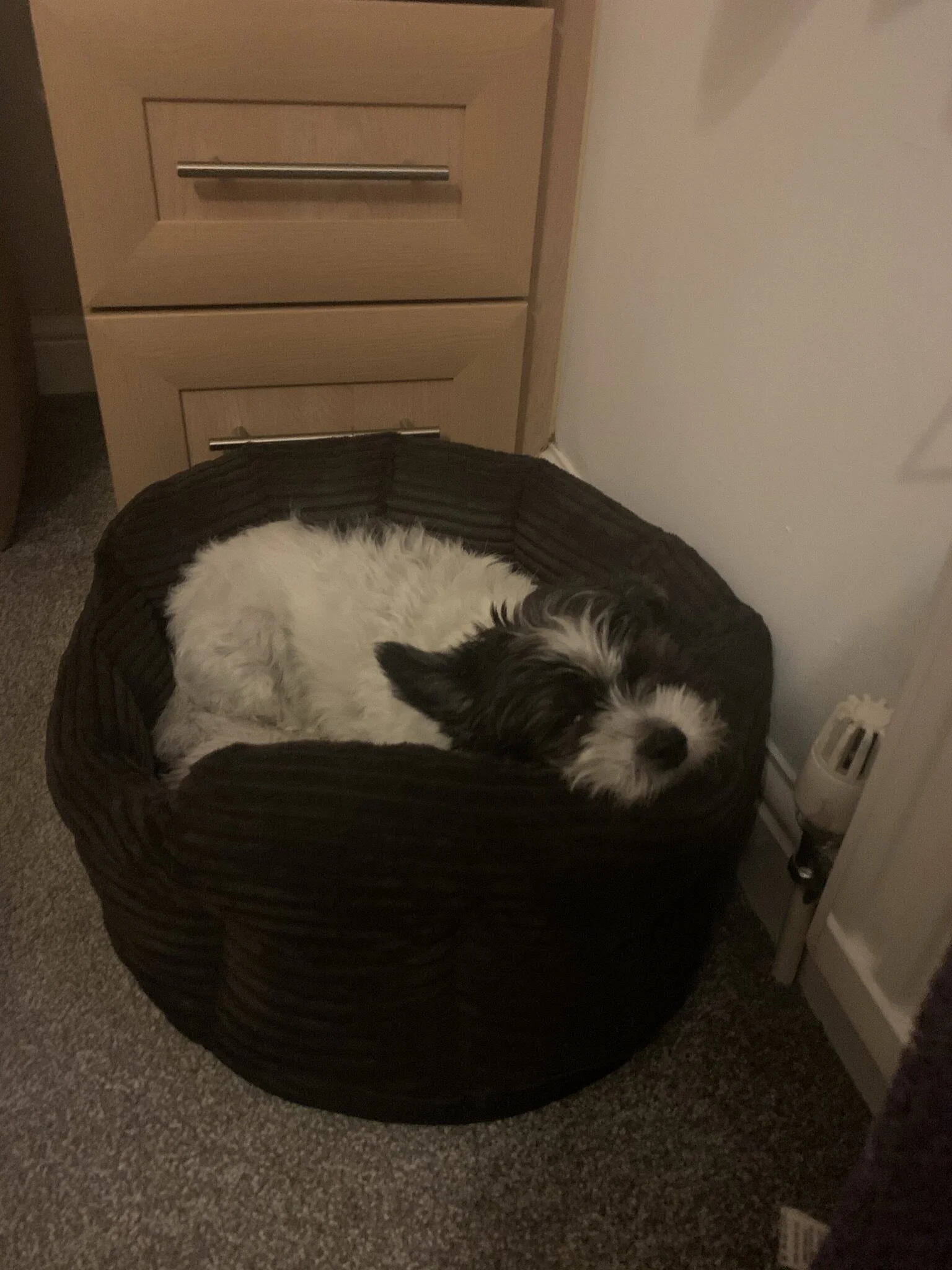 Mr Ted's perspective on rushing and the "Media".