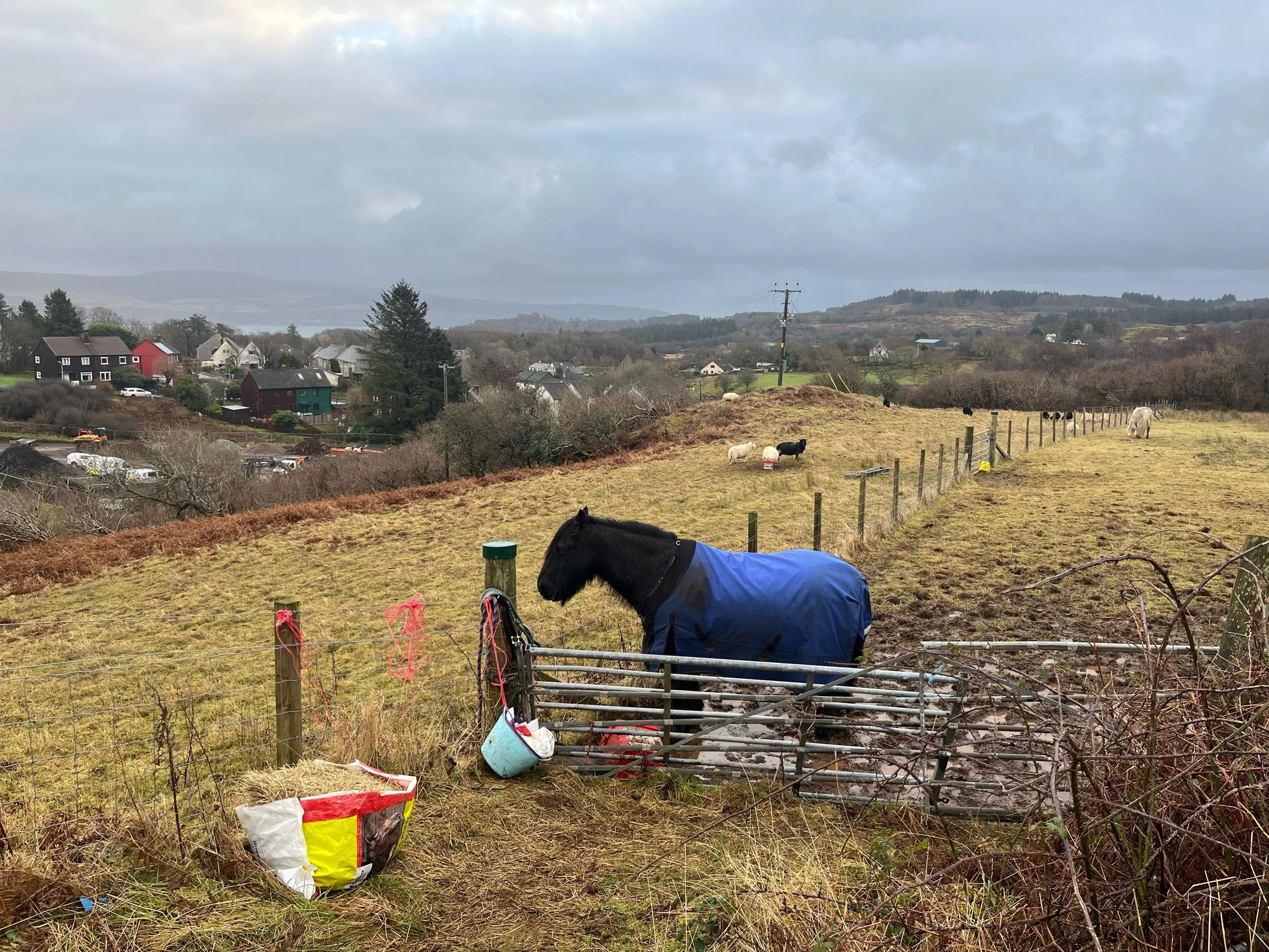 Waking up in a windy Wonderland