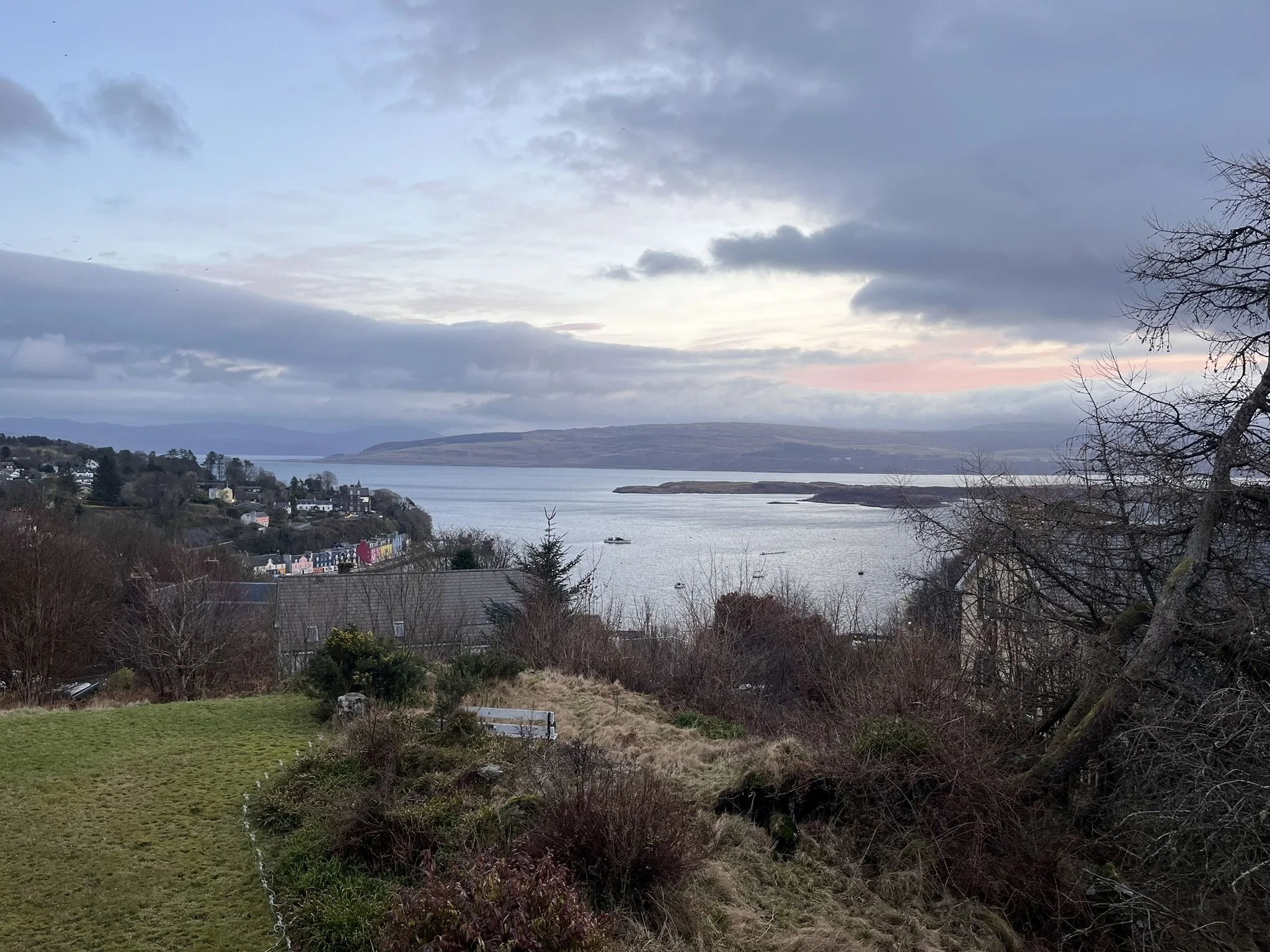 The found us office view - Thursday 16th January 2025