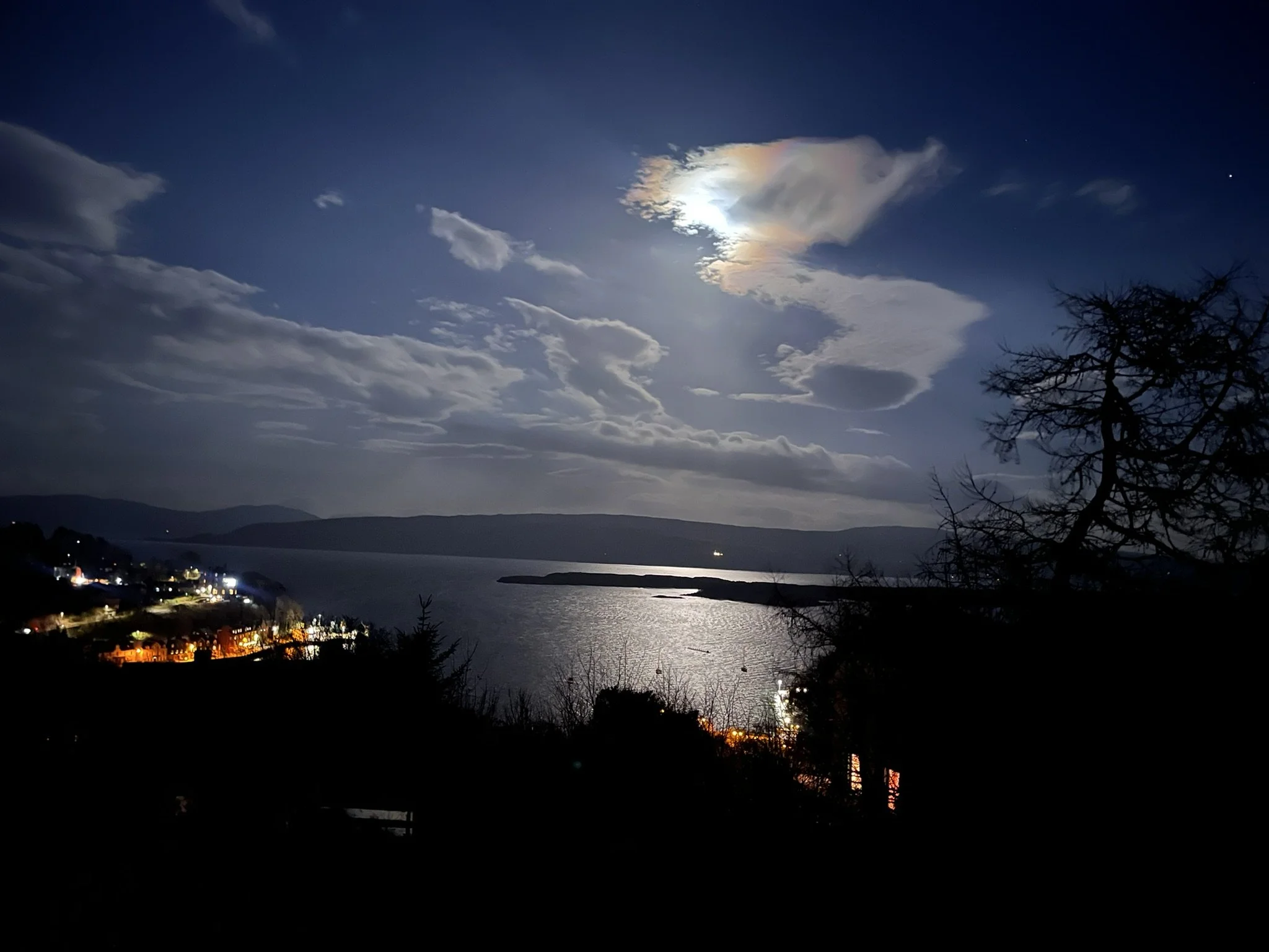 Cobley in an Isle of Mull winter