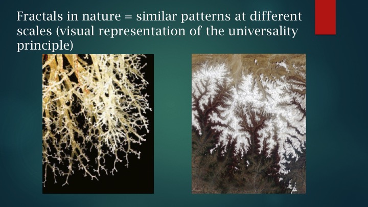 Slide11.jpg