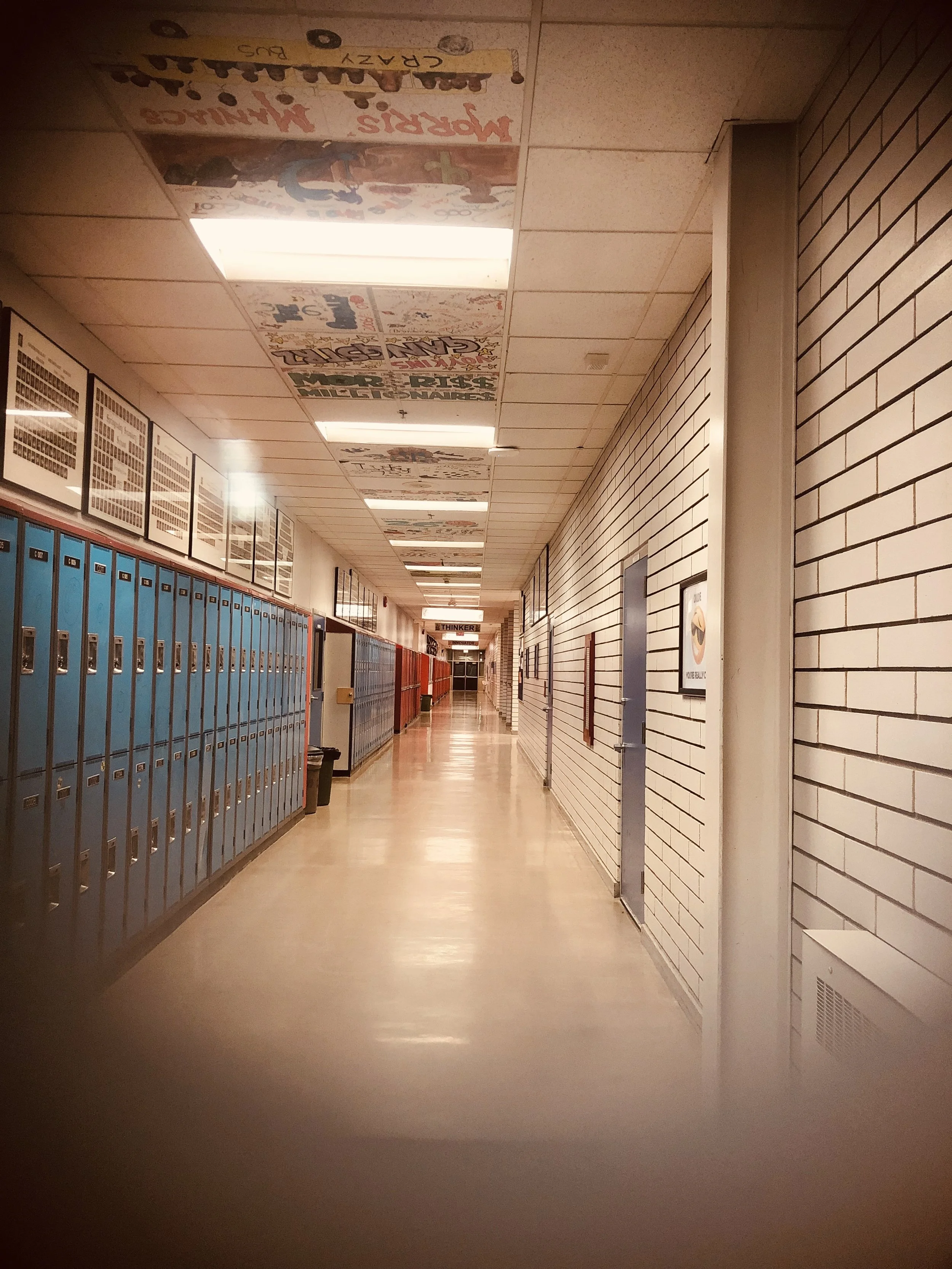 Education satire tells truth