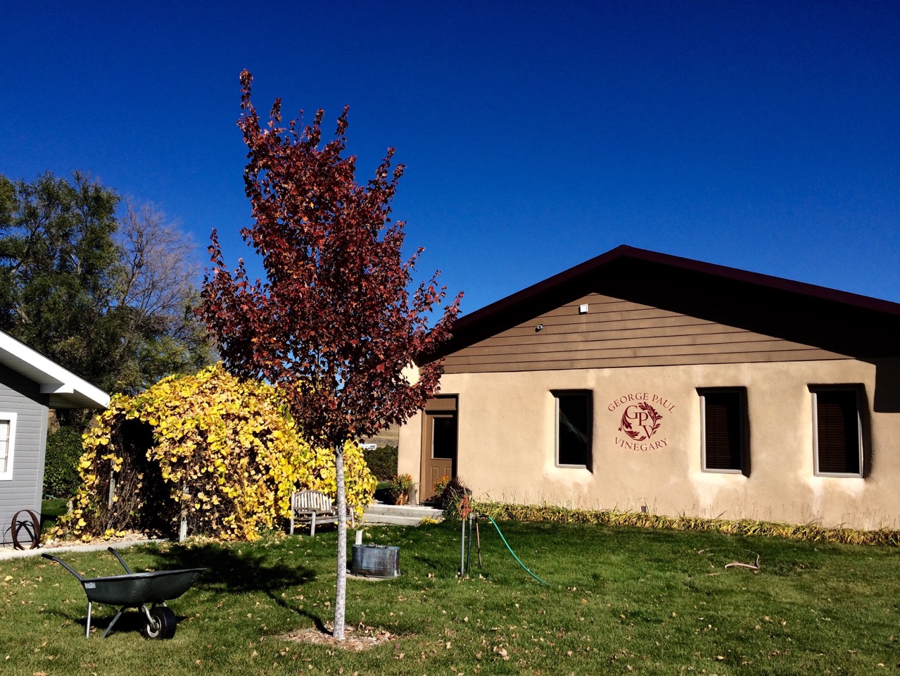 Lovely autumn colors outside the Vinegary