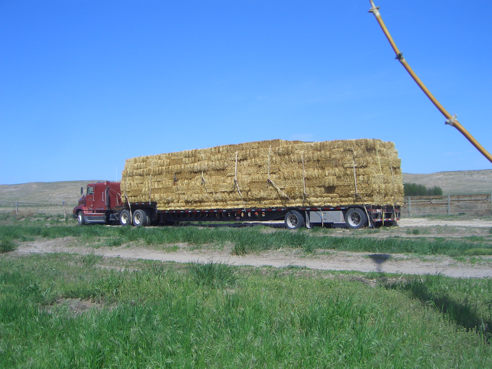 Our future walls arrive!