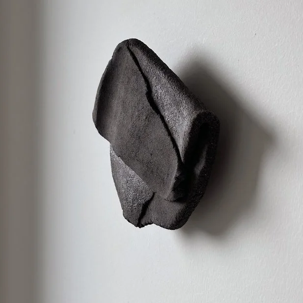 Pākau Wall Object_black_zij_bis3.jpg