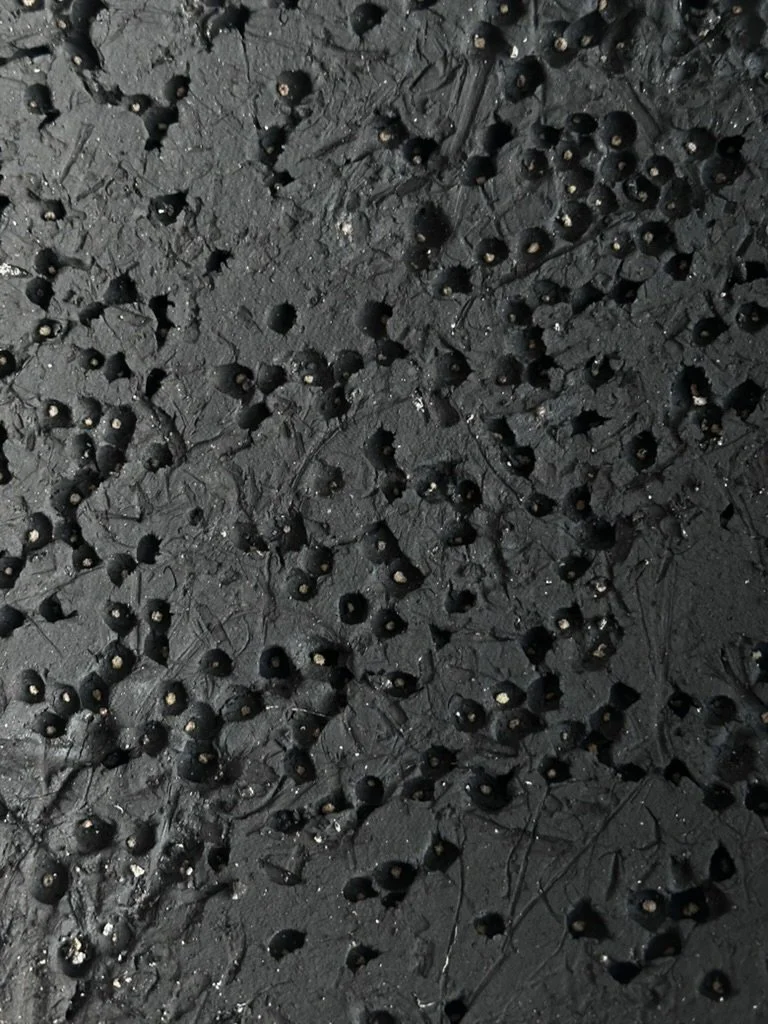 Magome Bowl L_close_vert.jpg