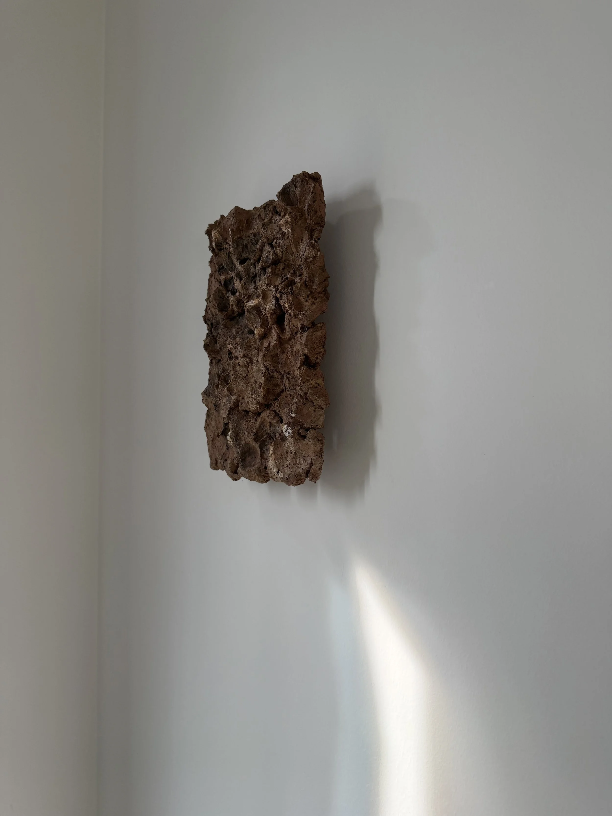 Tapumati Wall Object_zij_sun.jpg