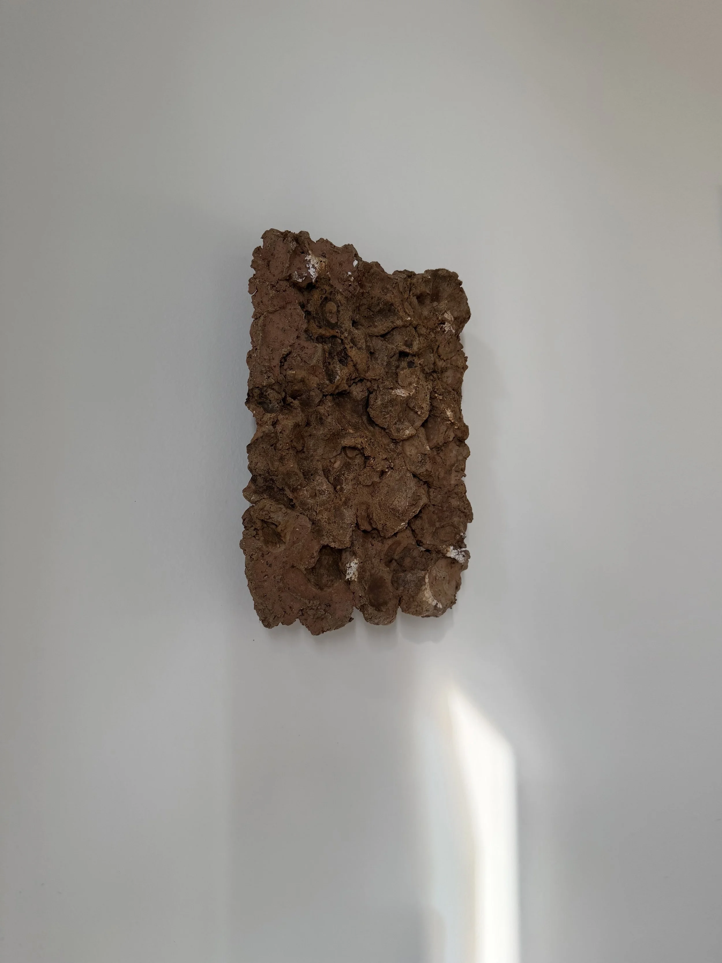 Tapumati Wall Object_zij_2_sun.jpg