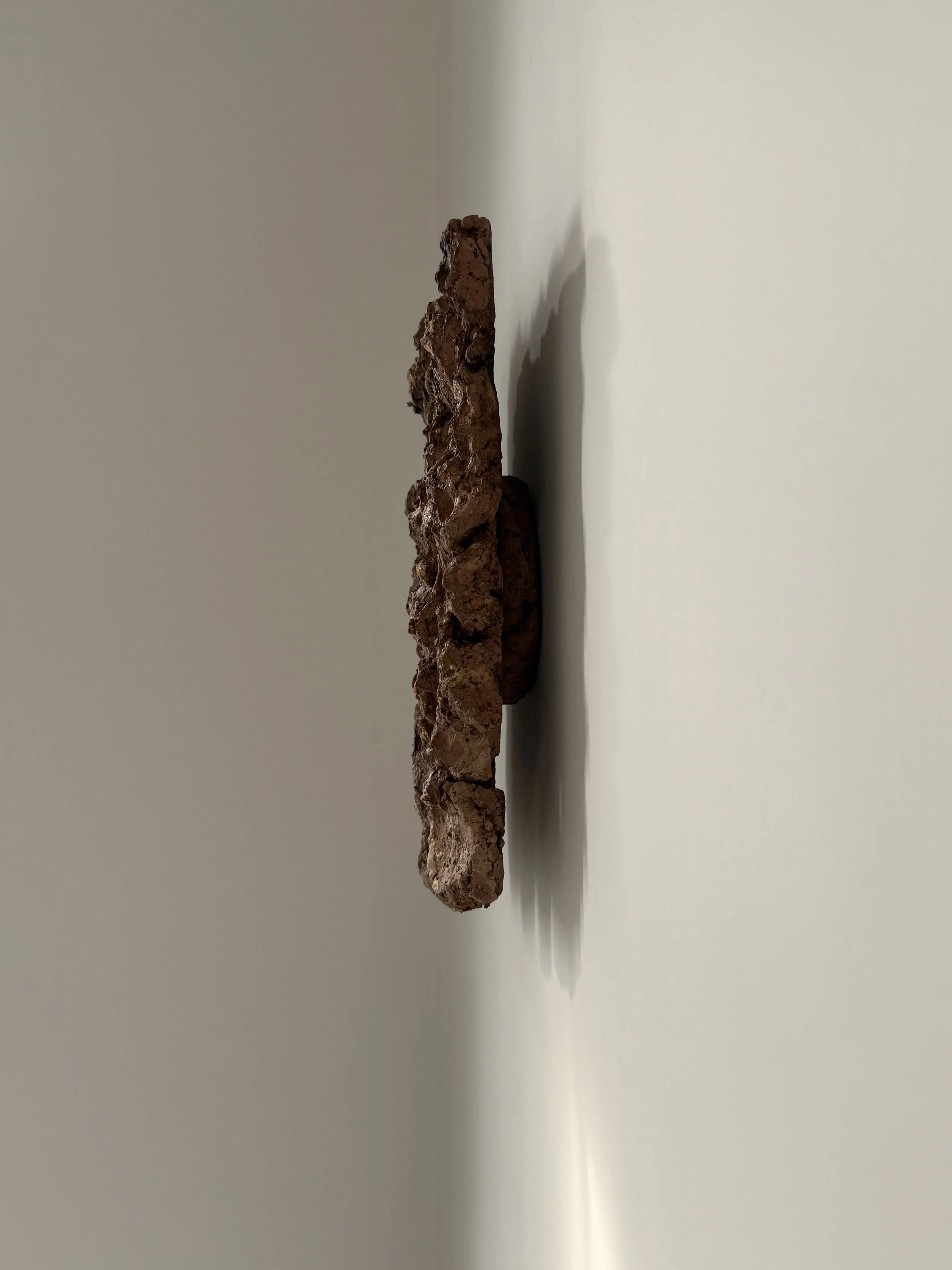 Tapumati Wall Object_profiel_sun.jpg