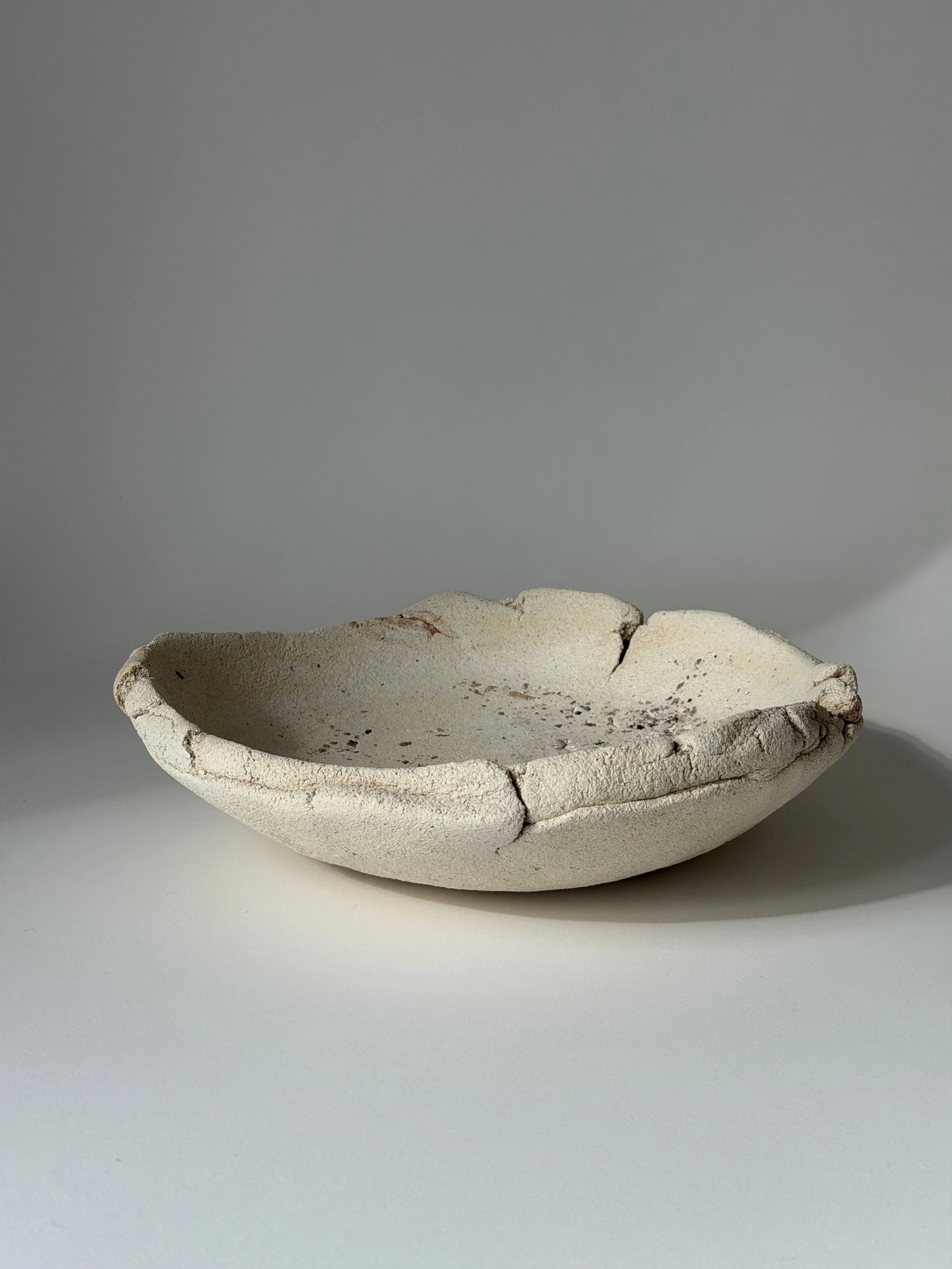 Cayo Bowl.jpg