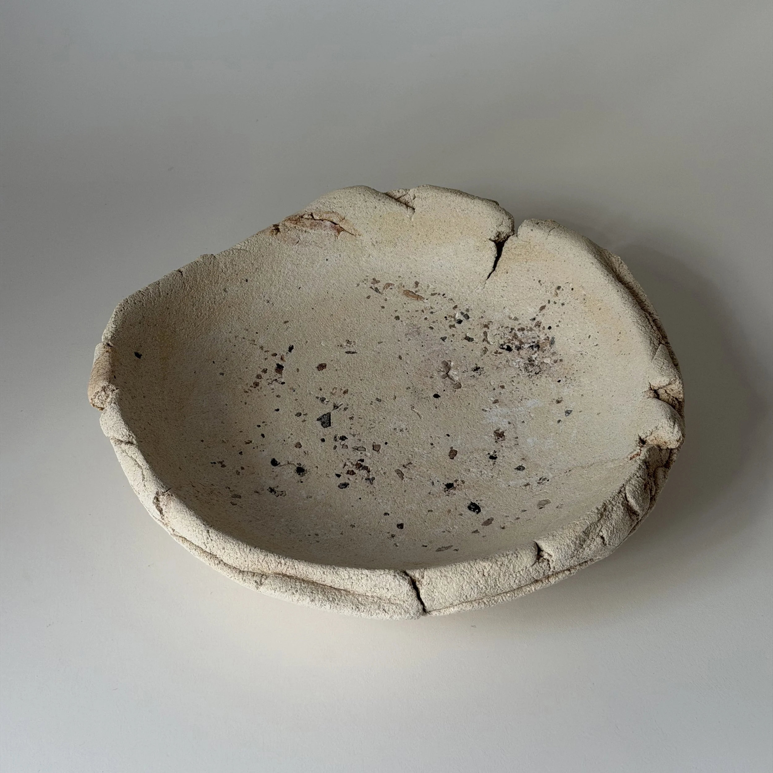 Cayo Bowl_2_SQ.jpg