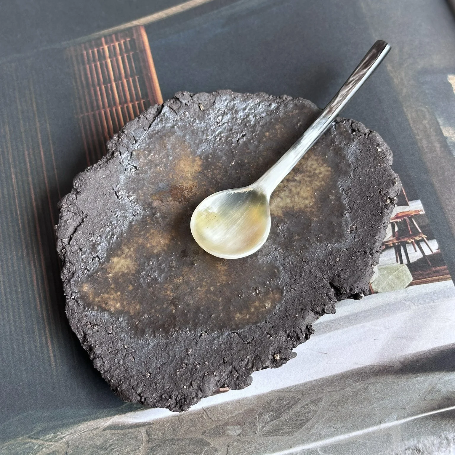 Poke trinket Dish_spoon.jpg