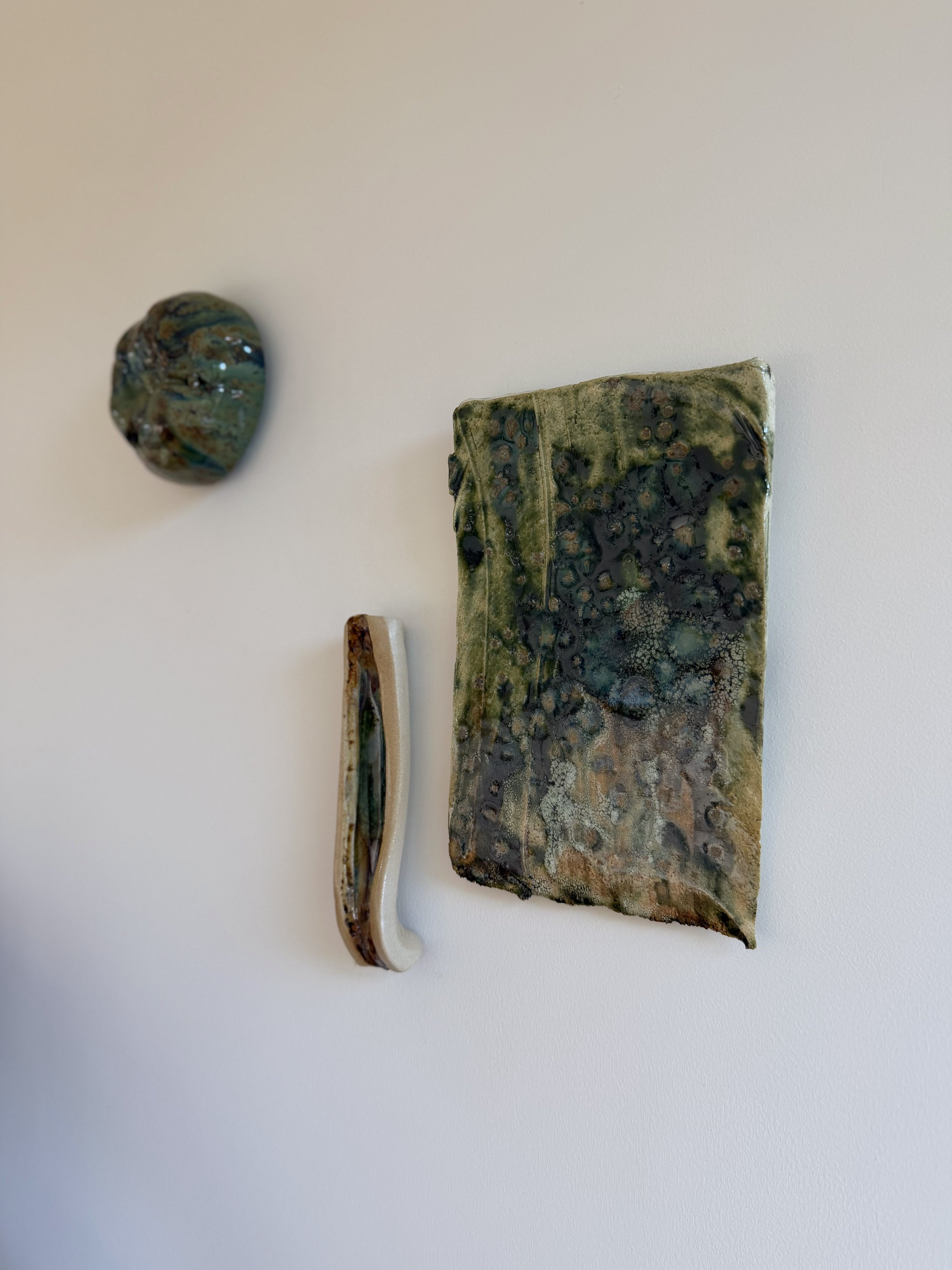 Kākāriki + Awa + Eden Wall Objects.jpg